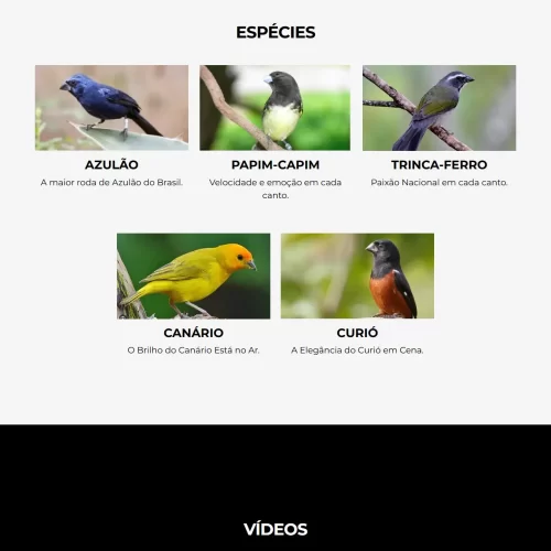 COPB – CLUBE ORNITOLÓGICO DA PARAÍBA